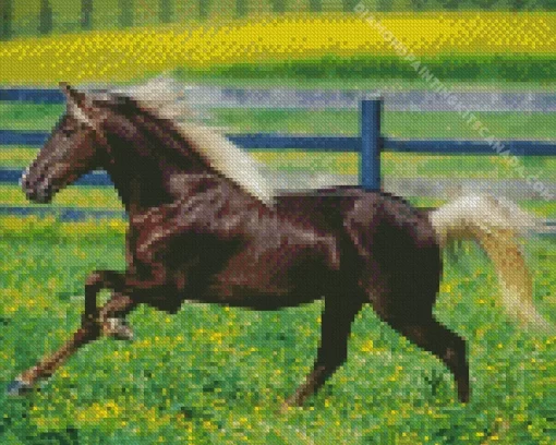 Black Horse With Blond Hair Diamond Painting