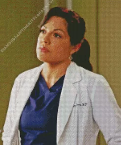 Callie Torres Diamond Painting