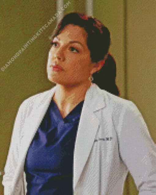 Callie Torres Diamond Painting