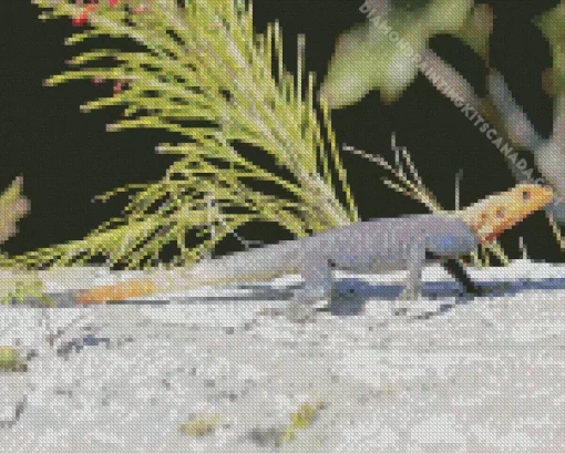 Orange Agama Diamond Painting