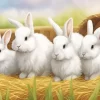 Angora Rabbit Diamond Painting