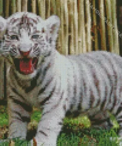 Baby Albino Tiger Diamond Painting