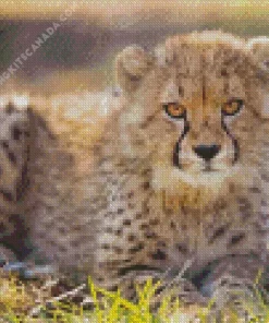 Baby Cheetah Diamond Painting