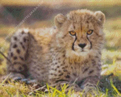 Baby Cheetah Diamond Painting