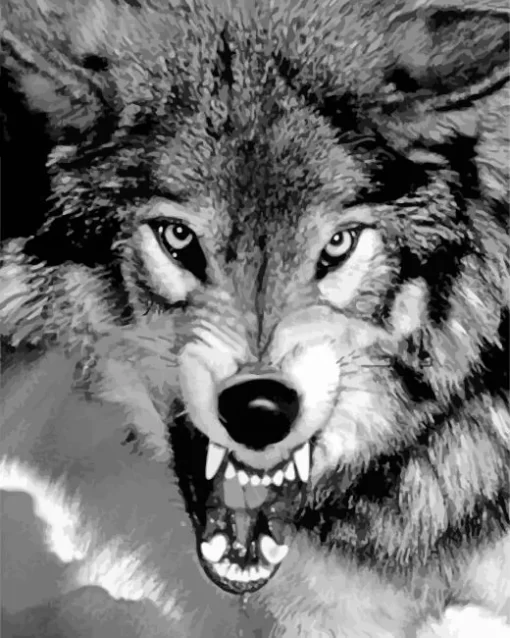 Black And White Growling Wolf Diamond Painting