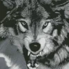 Black And White Growling Wolf Diamond Painting