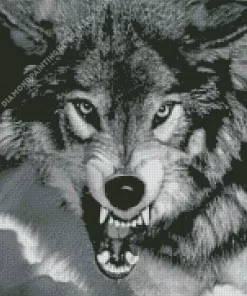 Black And White Growling Wolf Diamond Painting