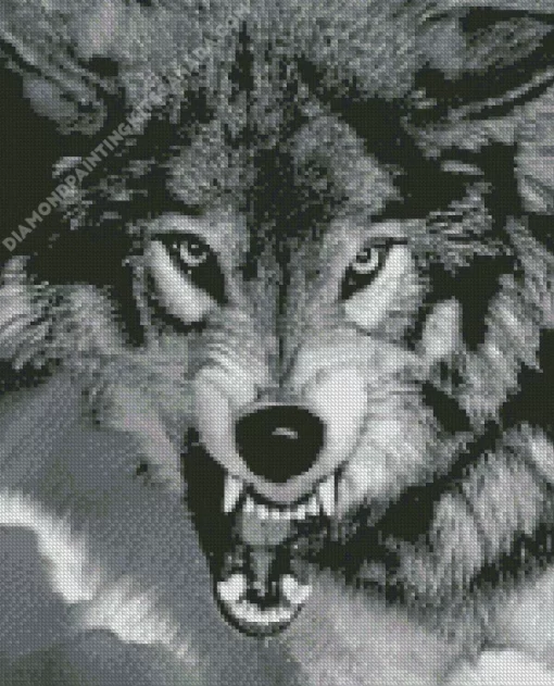 Black And White Growling Wolf Diamond Painting