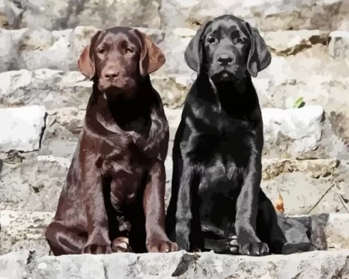 Black Vs Chocolate Labrador Dogs Diamond Painting