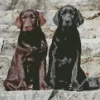 Black Vs Chocolate Labrador Dogs Diamond Painting