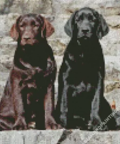 Black Vs Chocolate Labrador Dogs Diamond Painting