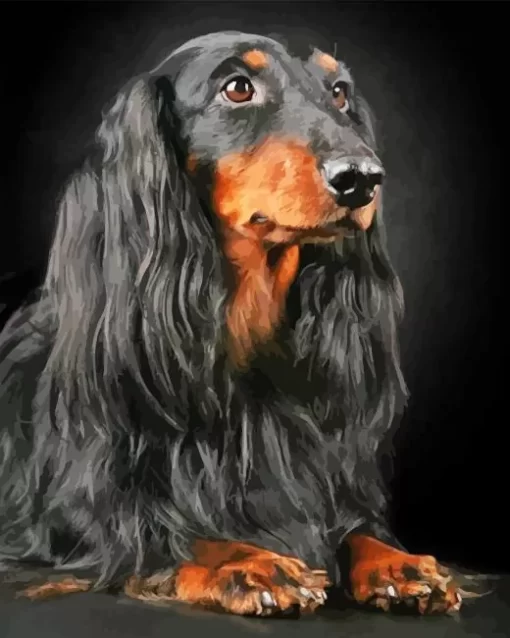 Black Wiener Dog Long Hair Diamond Painting