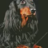 Black Wiener Dog Long Hair Diamond Painting