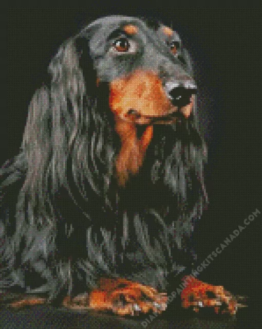 Black Wiener Dog Long Hair Diamond Painting