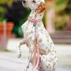 Blond Dalmatian Diamond Painting