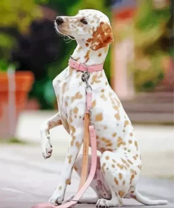 Blond Dalmatian Diamond Painting