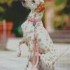 Blond Dalmatian Diamond Painting