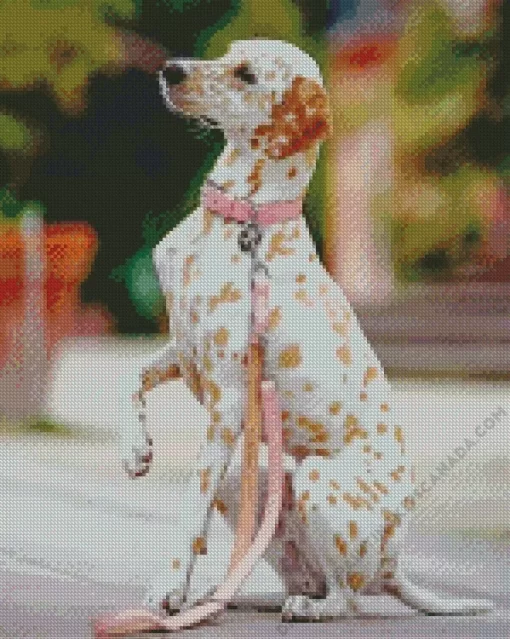 Blond Dalmatian Diamond Painting