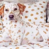 Blond Dalmatian Dog Diamond Painting