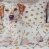 Blond Dalmatian Dog Diamond Painting