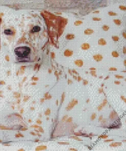 Blond Dalmatian Dog Diamond Painting