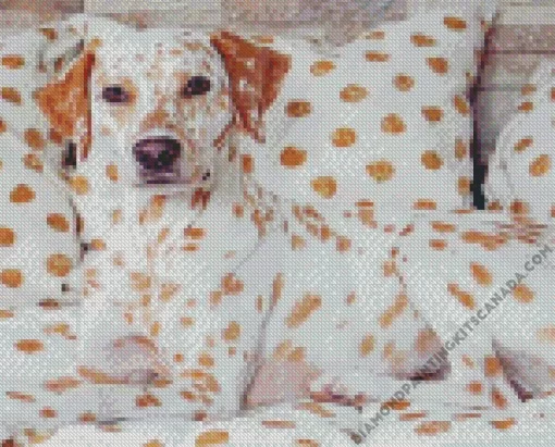 Blond Dalmatian Dog Diamond Painting