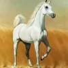 Blonde Arabian Horse Art Diamond Painting