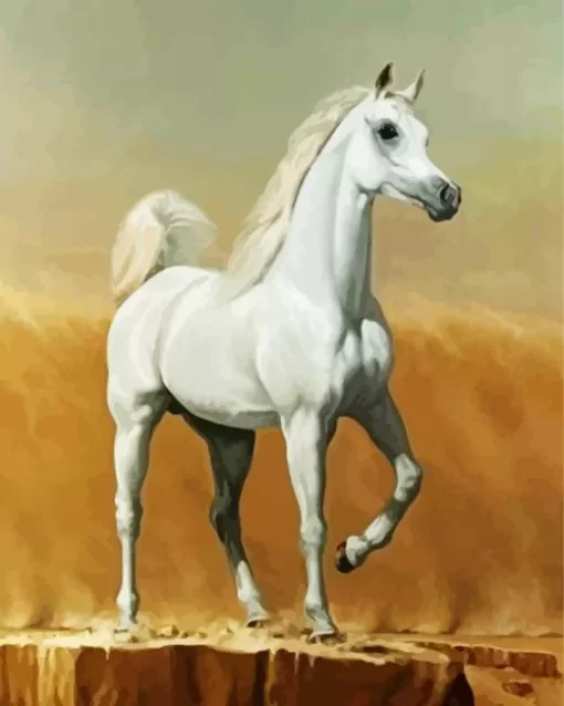 Blonde Arabian Horse Art Diamond Painting