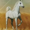 Blonde Arabian Horse Art Diamond Painting