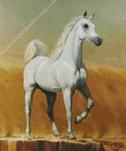 Blonde Arabian Horse Art Diamond Painting