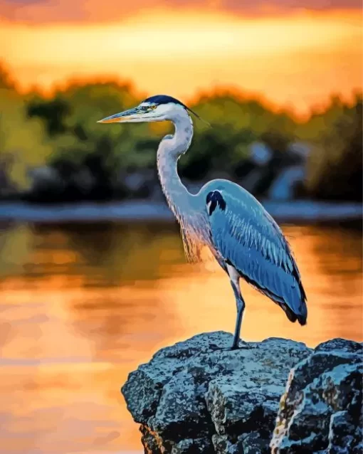 Everglades Heron Bird Diamond Painting