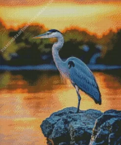 Everglades Heron Bird Diamond Painting