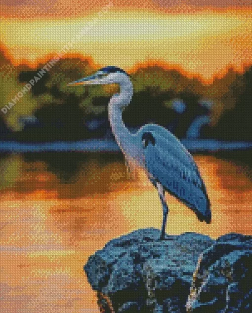 Everglades Heron Bird Diamond Painting