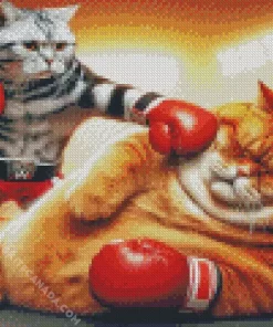 Fat Cat Vs Fit Cat Diamond Painting