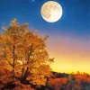 Full Moon Landscape Diamond Painting