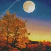 Full Moon Landscape Diamond Painting