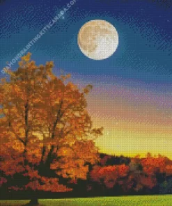 Full Moon Landscape Diamond Painting