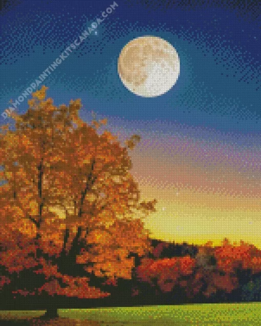 Full Moon Landscape Diamond Painting