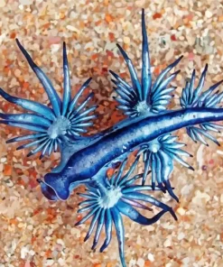 Glaucus Atlanticus Diamond Painting