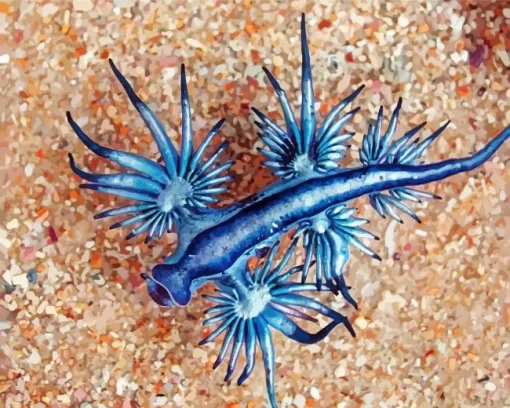 Glaucus Atlanticus Diamond Painting