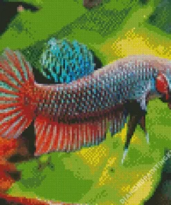 Green Betta Fish Diamond Painting