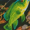 Green Fish Diamond Painting