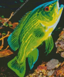 Green Fish Diamond Painting