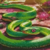 Green Pit Viper Diamond Painting