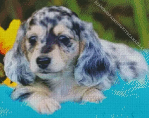 Grey Spotted Dachshund Puppy Diamond Painting