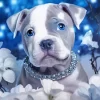 Staffy With Blue Eyes Diamond Painting