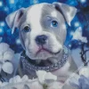 Staffy With Blue Eyes Diamond Painting