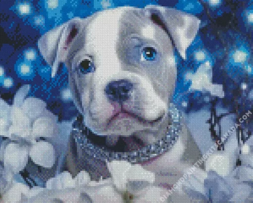 Staffy With Blue Eyes Diamond Painting