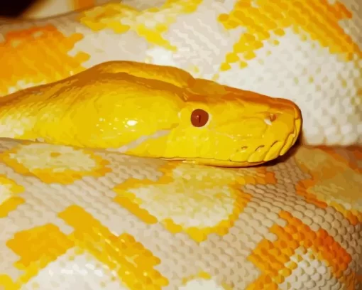 Yellow Burmese Python Diamond Painting