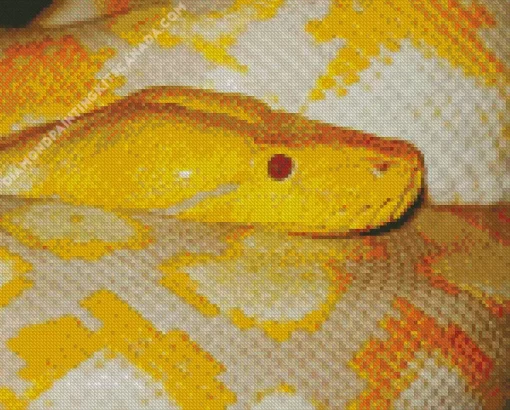 Yellow Burmese Python Diamond Painting